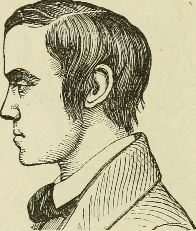 An illustration from Brain and mind; or, Mental science considered in accordance withthe principles of phrenology, and in relation to modern physiology, 1882, leaf 79