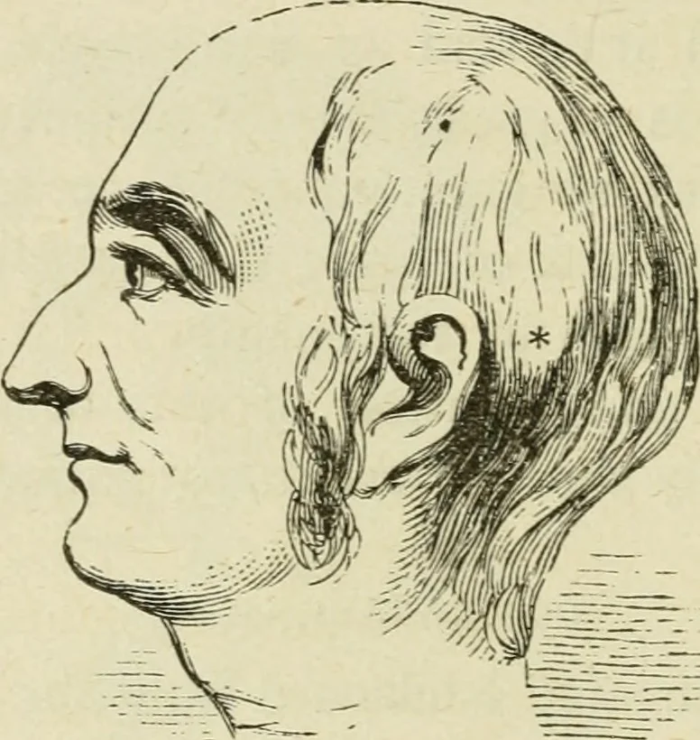 An illustration from Brain and mind; or, Mental science considered in accordance withthe principles of phrenology, and in relation to modern physiology, 1882, leaf 81