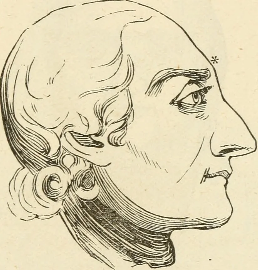 An illustration from Brain and mind; or, Mental science considered in accordance withthe principles of phrenology, and in relation to modern physiology, 1882, leaf 94