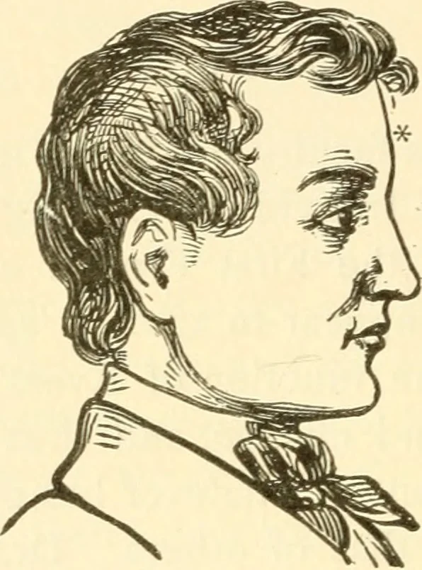 An illustration from Brain and mind : or, Mental science considered in accordance with the principles of phrenology, and in relation to modern physiology, 1895, leaf 109