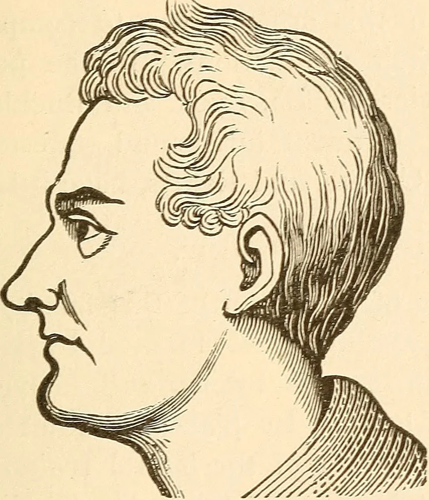 An illustration from Brain and mind : or, Mental science considered in accordance with the principles of phrenology, and in relation to modern physiology, 1895, leaf 110