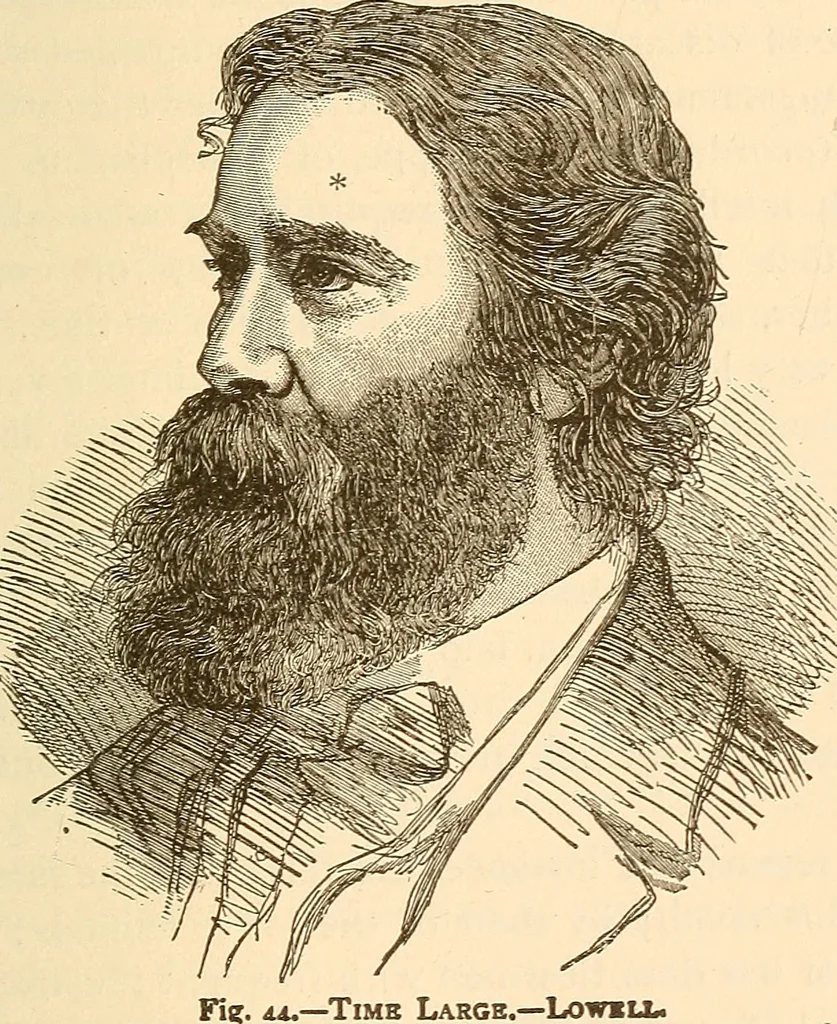 An illustration from Brain and mind : or, Mental science considered in accordance with the principles of phrenology, and in relation to modern physiology, 1895, leaf 112