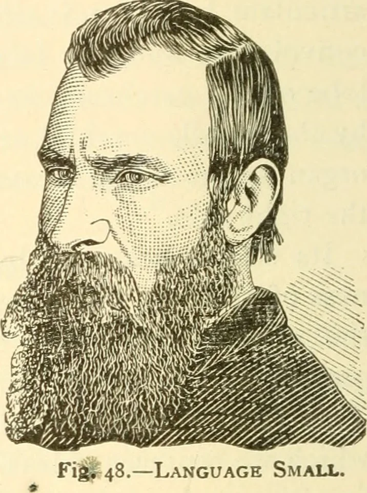An illustration from Brain and mind : or, Mental science considered in accordance with the principles of phrenology, and in relation to modern physiology, 1895, leaf 119