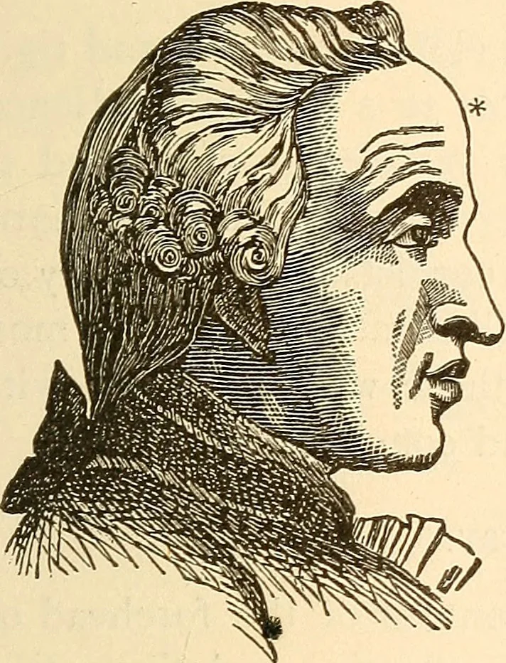 An illustration from Brain and mind : or, Mental science considered in accordance with the principles of phrenology, and in relation to modern physiology, 1895, leaf 122
