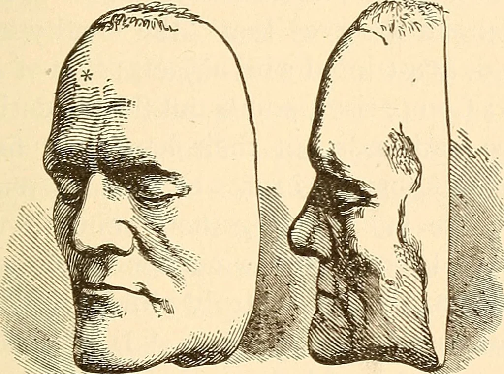 An illustration from Brain and mind : or, Mental science considered in accordance with the principles of phrenology, and in relation to modern physiology, 1895, leaf 124