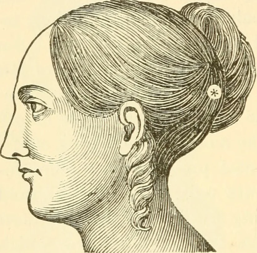 An illustration from Brain and mind : or, Mental science considered in accordance with the principles of phrenology, and in relation to modern physiology, 1895, leaf 145
