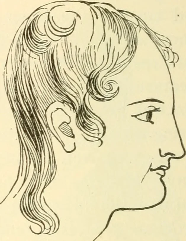 An illustration from Brain and mind : or, Mental science considered in accordance with the principles of phrenology, and in relation to modern physiology, 1895, leaf 145