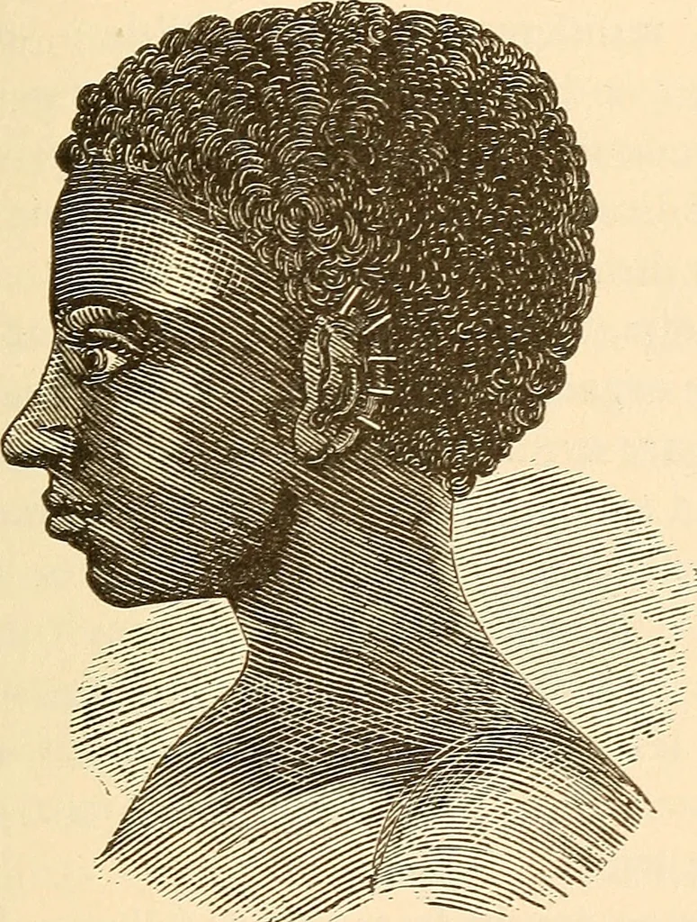 An illustration from Brain and mind : or, Mental science considered in accordance with the principles of phrenology, and in relation to modern physiology, 1895, leaf 146