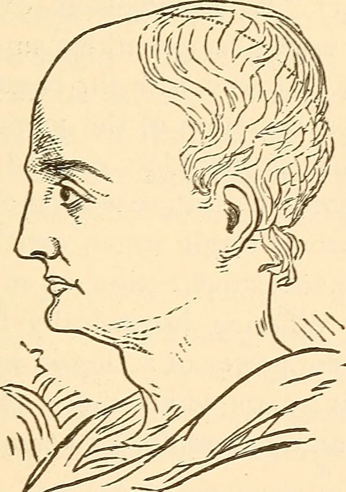 An illustration from Brain and mind : or, Mental science considered in accordance with the principles of phrenology, and in relation to modern physiology, 1895, leaf 154