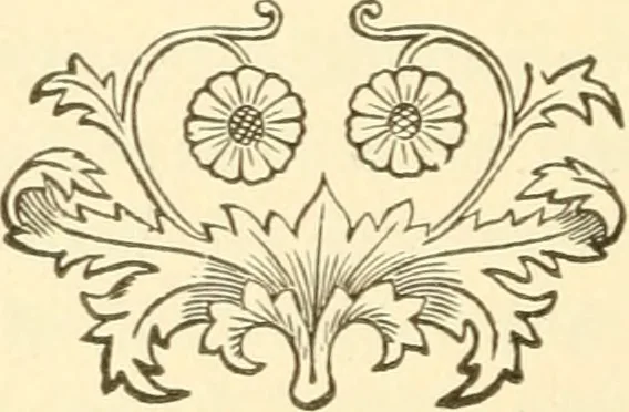 An illustration from Brain and mind : or, Mental science considered in accordance with the principles of phrenology, and in relation to modern physiology, 1895, leaf 157