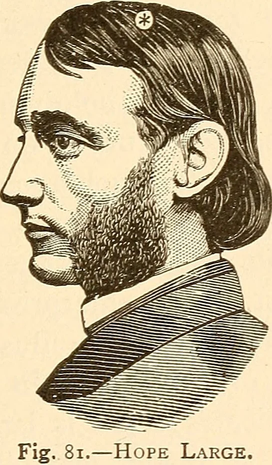 An illustration from Brain and mind : or, Mental science considered in accordance with the principles of phrenology, and in relation to modern physiology, 1895, leaf 178