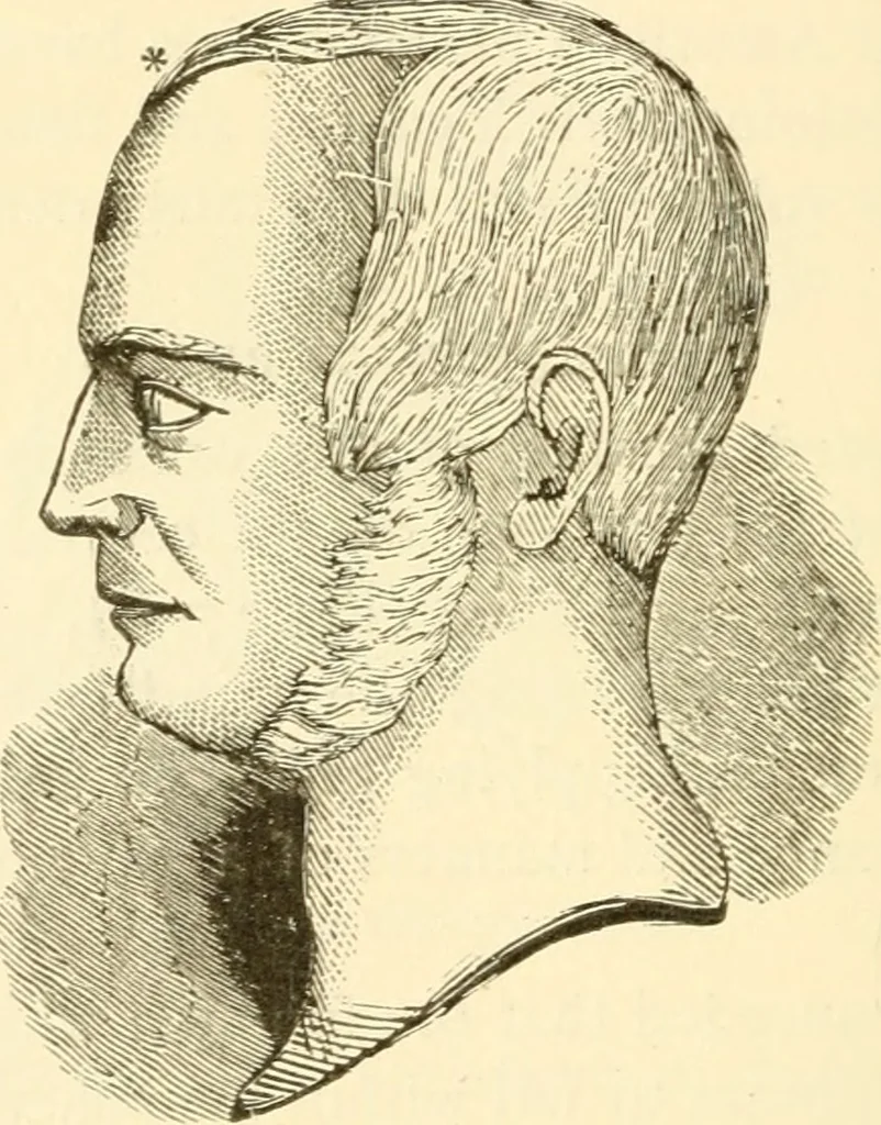 An illustration from Brain and mind : or, Mental science considered in accordance with the principles of phrenology, and in relation to modern physiology, 1895, leaf 195
