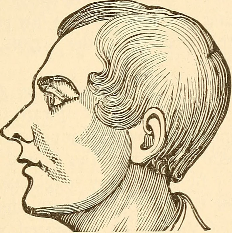 An illustration from Brain and mind : or, Mental science considered in accordance with the principles of phrenology, and in relation to modern physiology, 1895, leaf 202