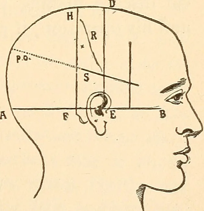 An illustration from Brain and mind : or, Mental science considered in accordance with the principles of phrenology, and in relation to modern physiology, 1895, leaf 330