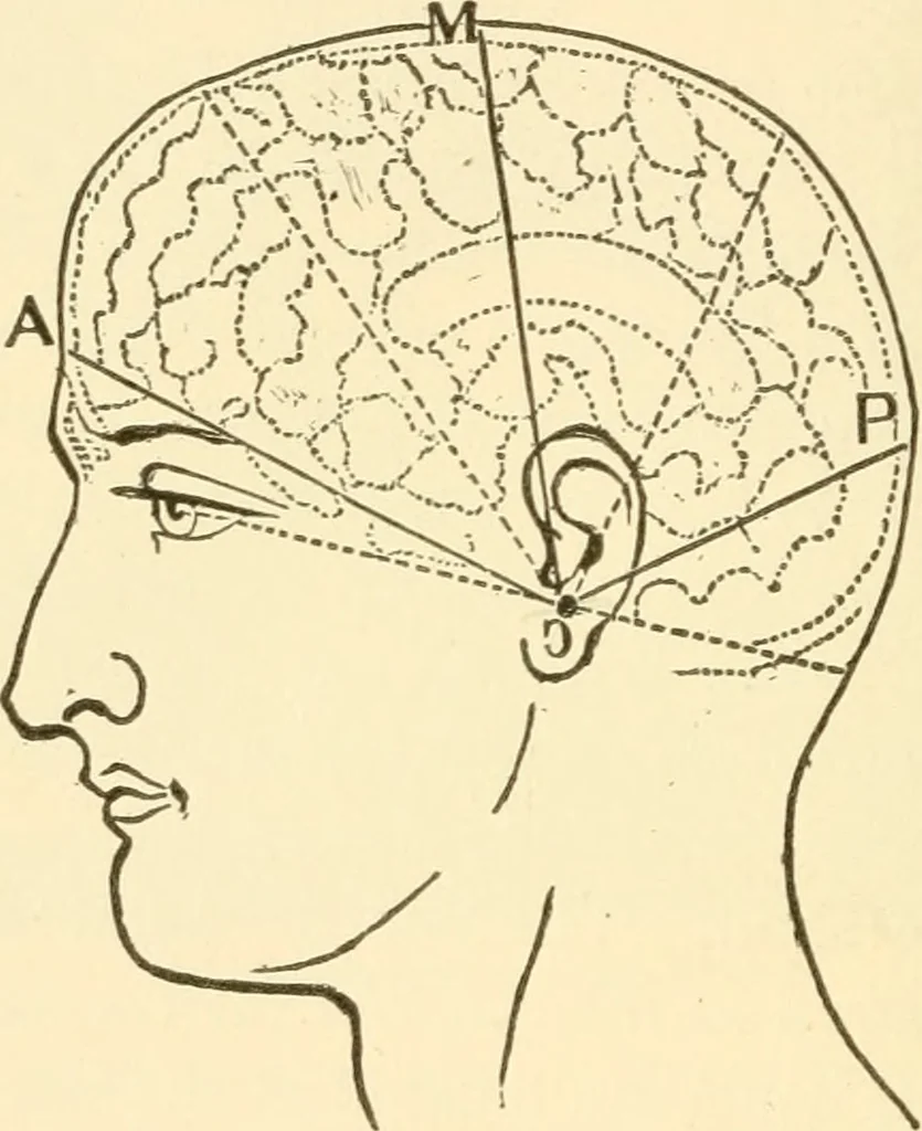 An illustration from Brain and mind : or, Mental science considered in accordance with the principles of phrenology, and in relation to modern physiology, 1895, leaf 59