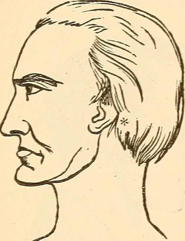 An illustration from Brain and mind : or, Mental science considered in accordance with the principles of phrenology, and in relation to modern physiology, 1895, leaf 74