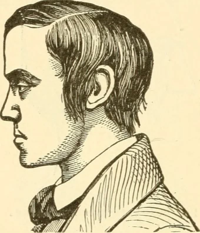 An illustration from Brain and mind : or, Mental science considered in accordance with the principles of phrenology, and in relation to modern physiology, 1895, leaf 75