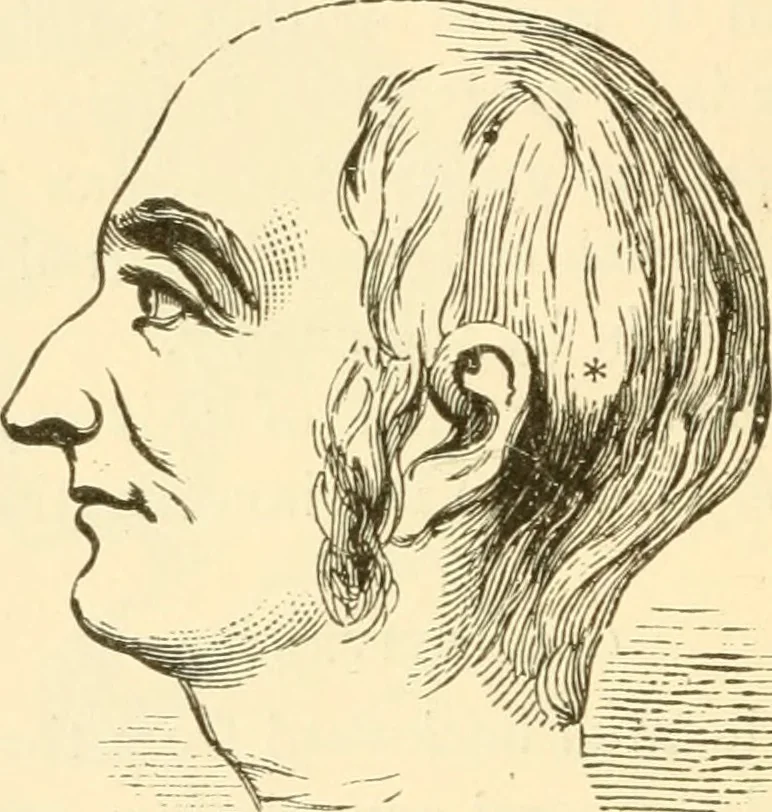 An illustration from Brain and mind : or, Mental science considered in accordance with the principles of phrenology, and in relation to modern physiology, 1895, leaf 77