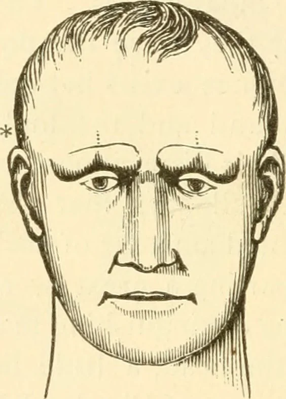 An illustration from Brain and mind : or, Mental science considered in accordance with the principles of phrenology, and in relation to modern physiology, 1895, leaf 79