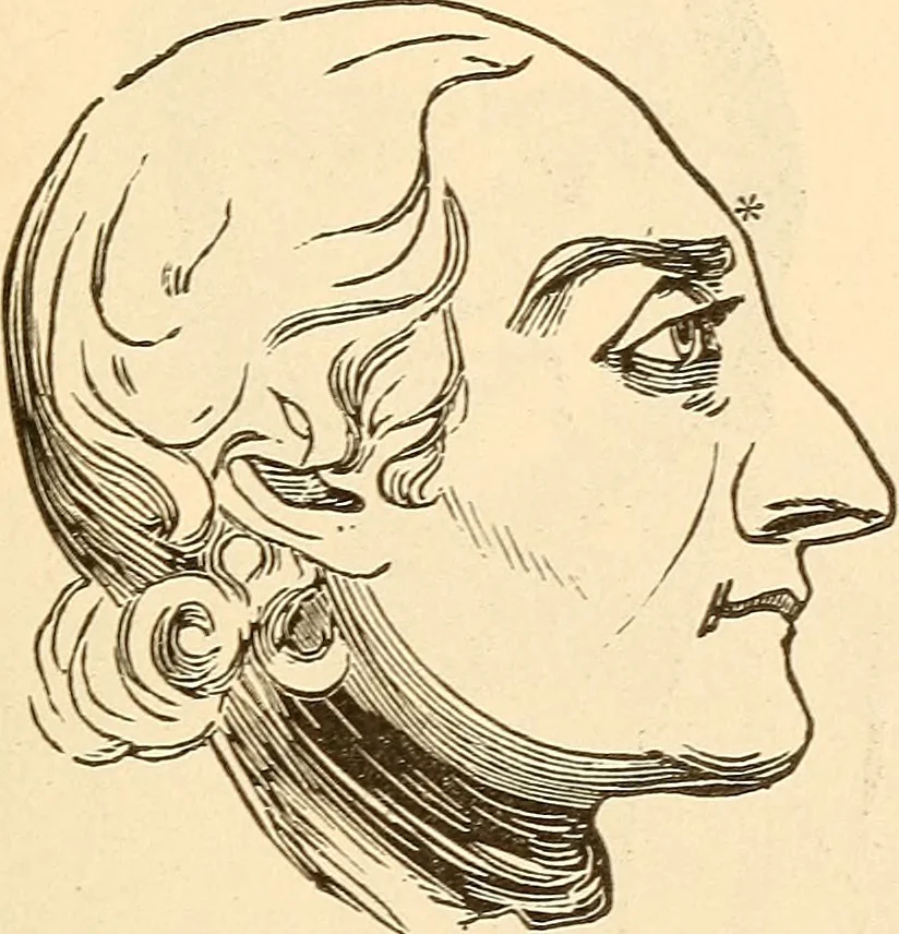 An illustration from Brain and mind : or, Mental science considered in accordance with the principles of phrenology, and in relation to modern physiology, 1895, leaf 90