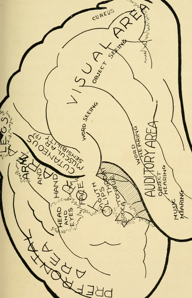 An illustration from Brain and personality; or, The physical relations of the brain to the mind, 1906, leaf 192