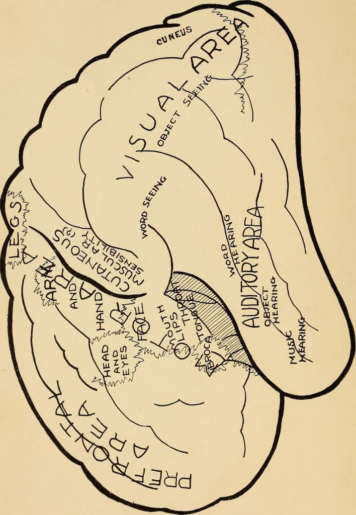 An illustration from Brain and personality;, 1910, leaf 7