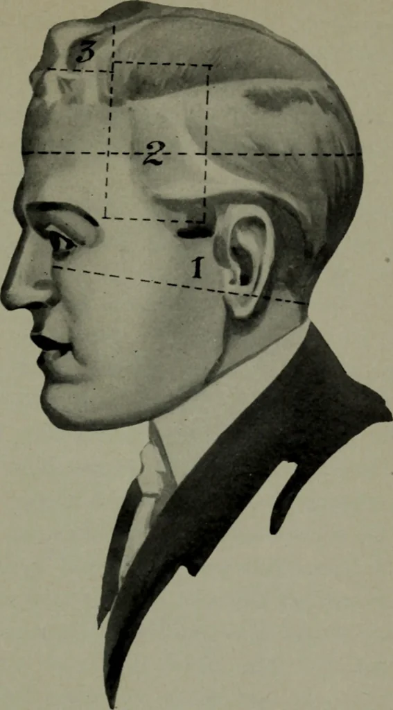 An illustration from Brains and how to get them, 1913, leaf 176