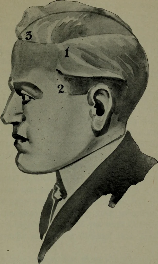 An illustration from Brains and how to get them, 1913, leaf 198