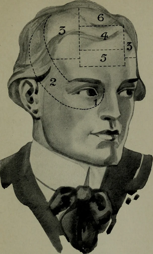 An illustration from Brains and how to get them, 1913, leaf 224
