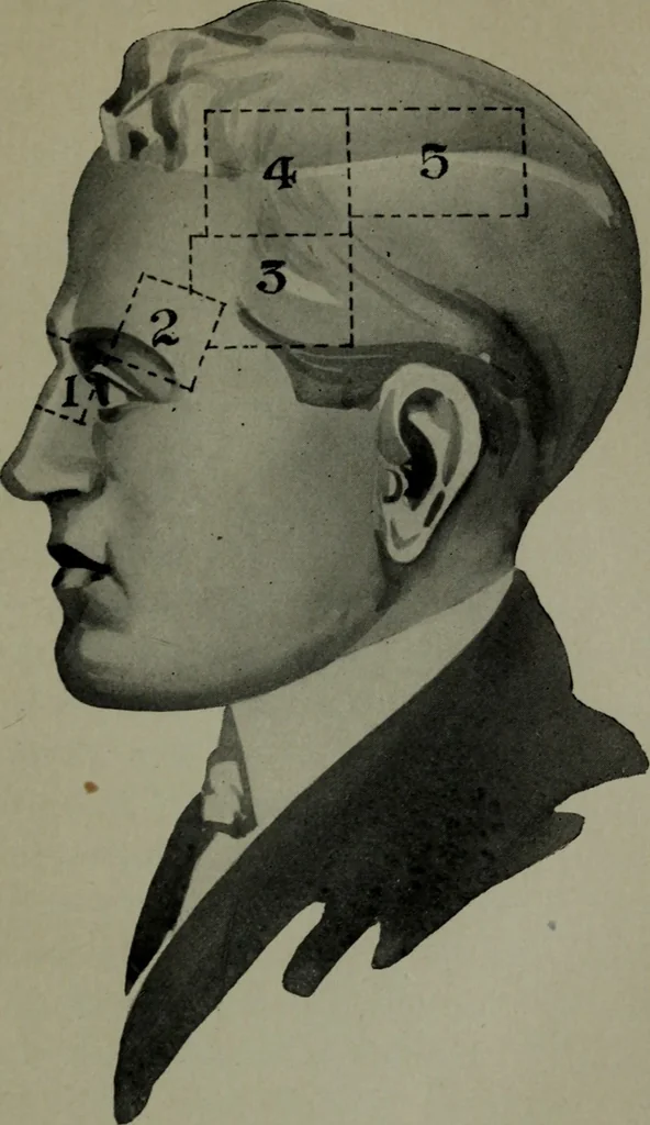 An illustration from Brains and how to get them, 1913, leaf 234