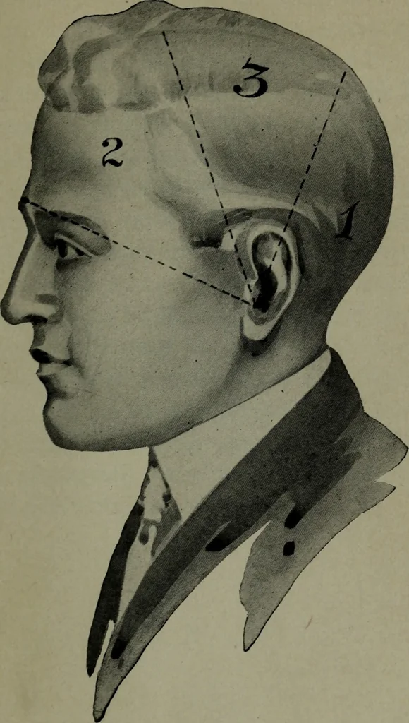 An illustration from Brains and how to get them, 1913, leaf 54