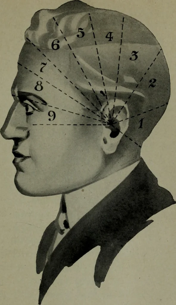An illustration from Brains and how to get them, 1913, leaf 90