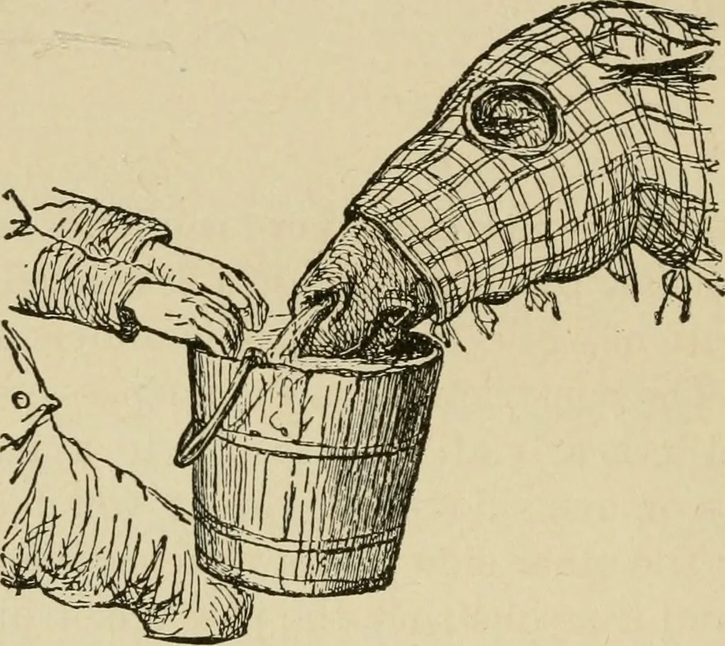 An illustration from Breeding, training, management and diseases of the horse and other domestic animals, 1893, leaf 109
