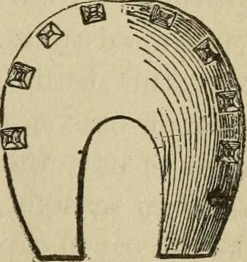 An illustration from Breeding, training, management and diseases of the horse and other domestic animals, 1893, leaf 146