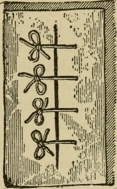 An illustration from Breeding, training, management and diseases of the horse and other domestic animals, 1893, leaf 148