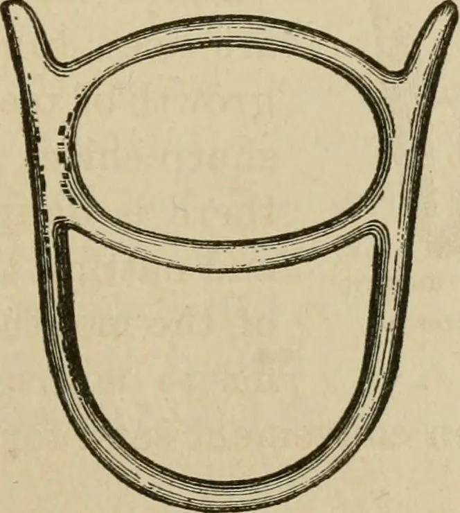 An illustration from Breeding, training, management and diseases of the horse and other domestic animals, 1893, leaf 174