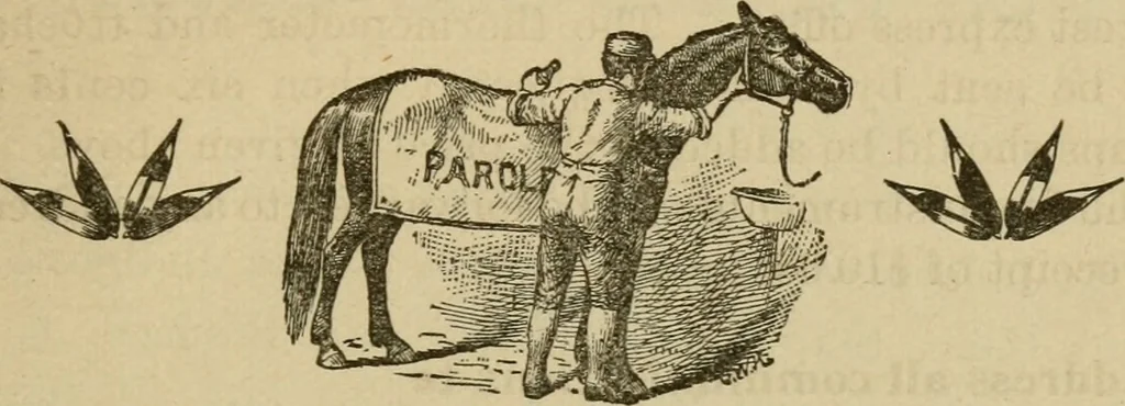 An illustration from Breeding, training, management and diseases of the horse and other domestic animals, 1893, leaf 230