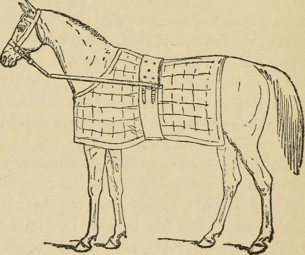 An illustration from Breeding, training, management and diseases of the horse and other domestic animals, 1893, leaf 59