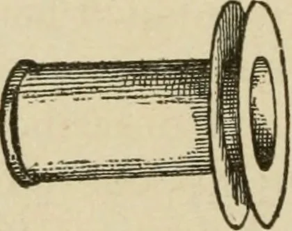 An illustration from Breeding, training, management and diseases of the horse and other domestic animals, 1893, leaf 99