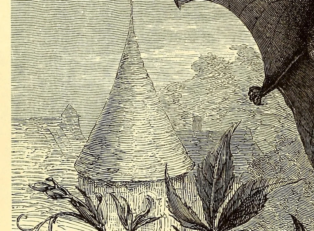 An illustration from Brehms Tierleben : allgemeine Kunde des Tierreichs : mit 1800 Abbildungen im Text, 9 Karten und 180 Tafeln in Farbendruck und Holzschnitt, 1890, leaf 434