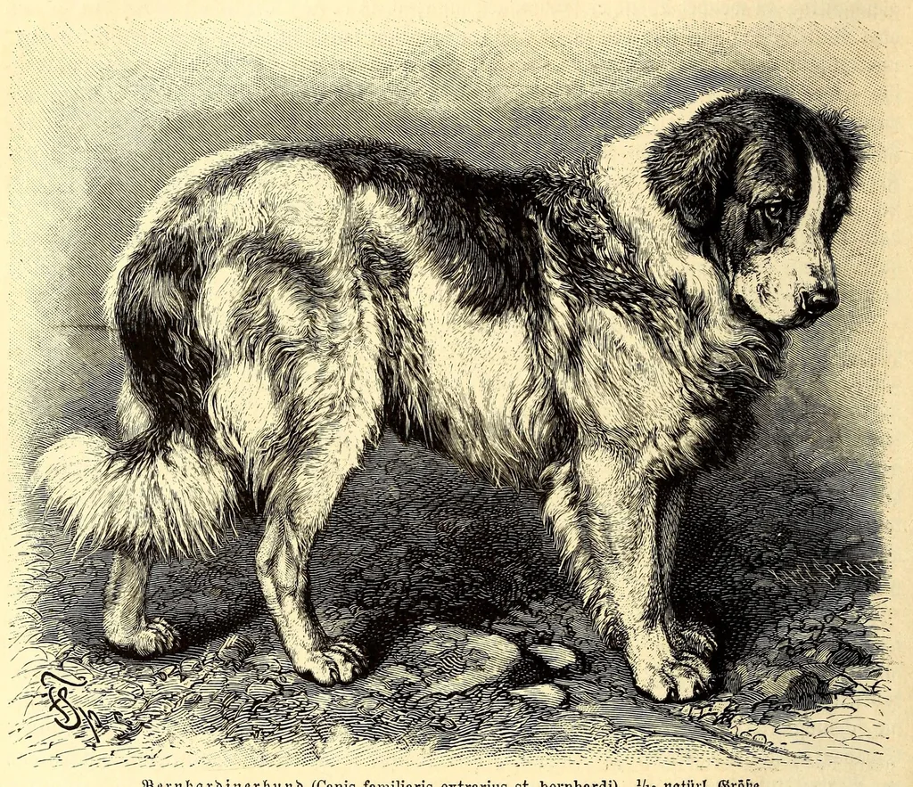 An illustration from Brehms Tierleben : allgemeine Kunde des Tierreichs : mit 1800 Abbildungen im Text, 9 Karten und 180 Tafeln in Farbendruck und Holzschnitt, 1890, leaf 172