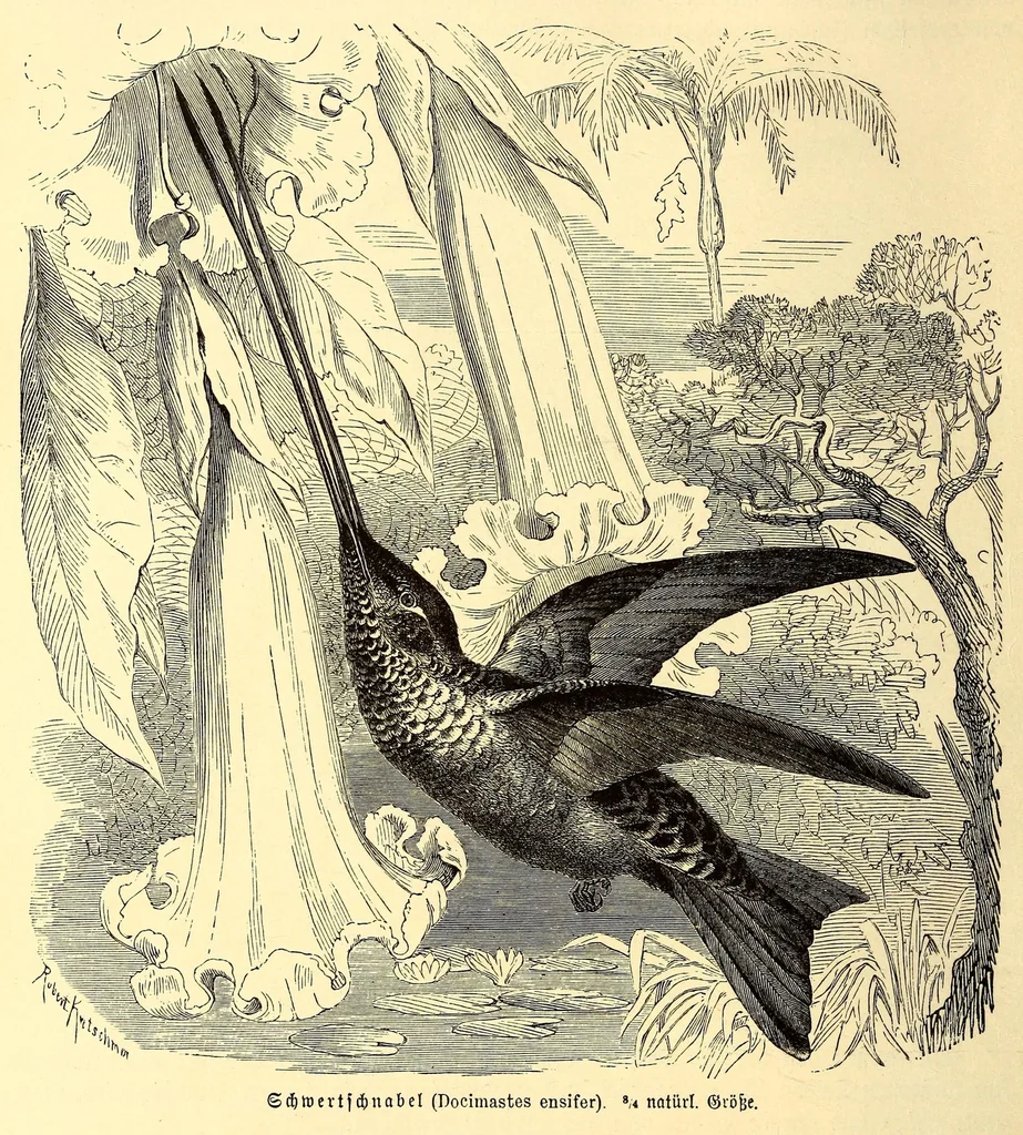 An illustration from Brehms Tierleben : allgemeine Kunde des Tierreichs : mit 1800 Abbildungen im Text, 9 Karten und 180 Tafeln in Farbendruck und Holzschnitt, 1890, leaf 744