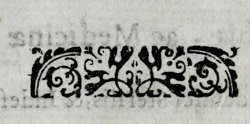 An illustration from Breue compendio di marauigliosi segreti approuati, e pratticati con felice successo nelle indispositioni corporali ... : con vn trattato bellissimo per conseruarsi in sanità ..., 1660, leaf 19