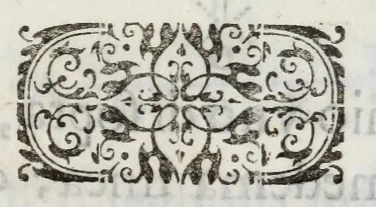 An illustration from Breue compendio di fortificatione moderna, 1639, leaf 21