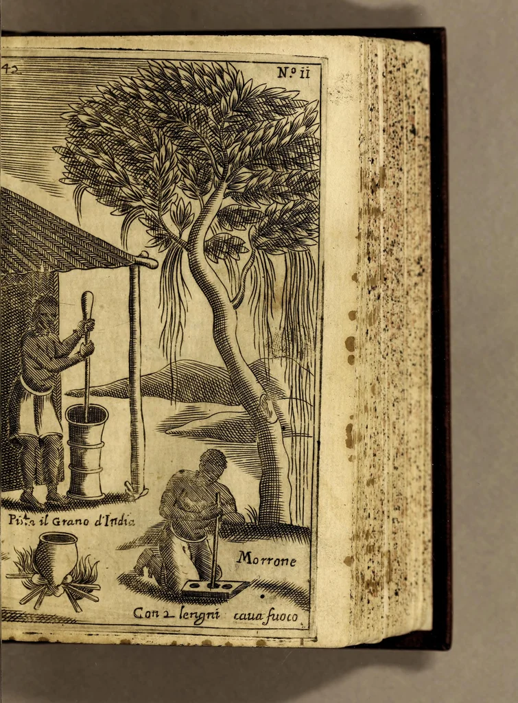 An illustration from Breue, e succinta relatione del viaggio nel regno di Congo nell' Africa meridionale,, 1692, leaf 197