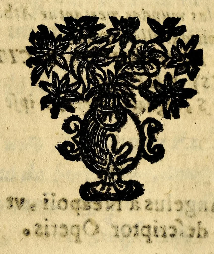 An illustration from Breue, e succinta relatione del viaggio nel regno di Congo nell' Africa meridionale,, 1692, leaf 509