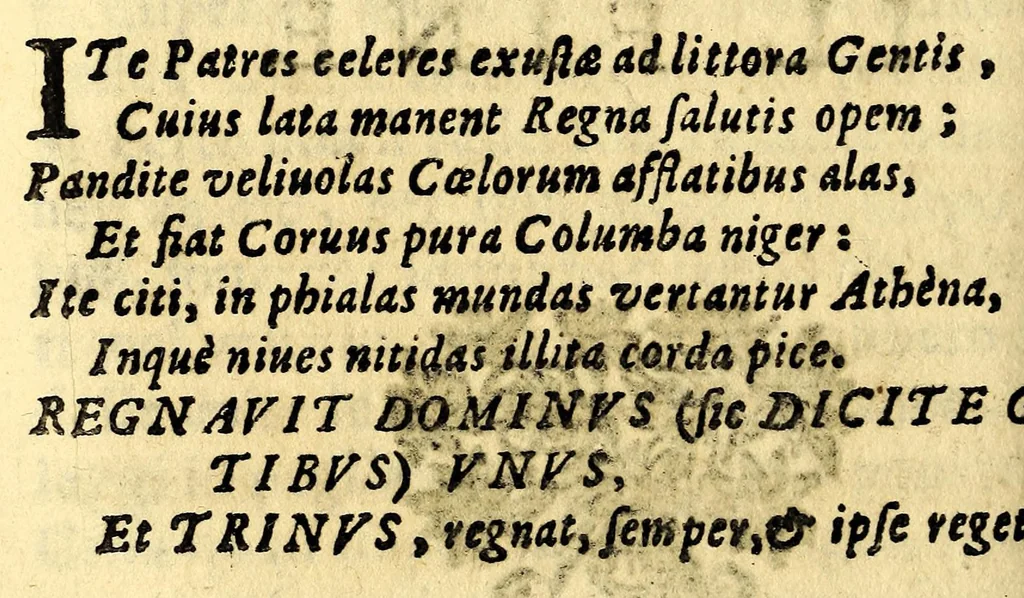 An illustration from Breue, e succinta relatione del viaggio nel regno di Congo nell' Africa meridionale,, 1692, leaf 510