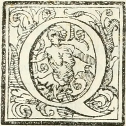 An illustration from Breue racconto della trasportatione del corpo di Papa Paolo V. dalla basilica di S. Pietro à quella di S. Maria Maggiore : con l'oratione recitata nelle sue esequie, & alcuni versi posti nell'apparato, 1623, leaf 24