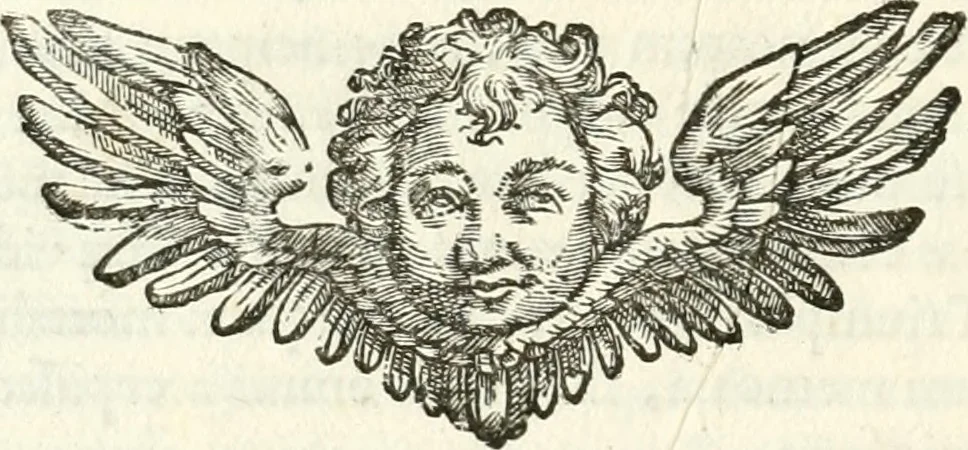 An illustration from Breue racconto della trasportatione del corpo di Papa Paolo V. dalla basilica di S. Pietro à quella di S. Maria Maggiore : con l'oratione recitata nelle sue esequie, & alcuni versi posti nell'apparato, 1623, leaf 35