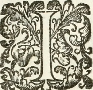 An illustration from Breue racconto della trasportatione del corpo di Papa Paolo V. dalla basilica di S. Pietro à quella di S. Maria Maggiore : con l'oratione recitata nelle sue esequie, & alcuni versi posti nell'apparato, 1623, leaf 6